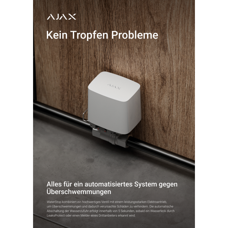 AJAX Poster - deutsch