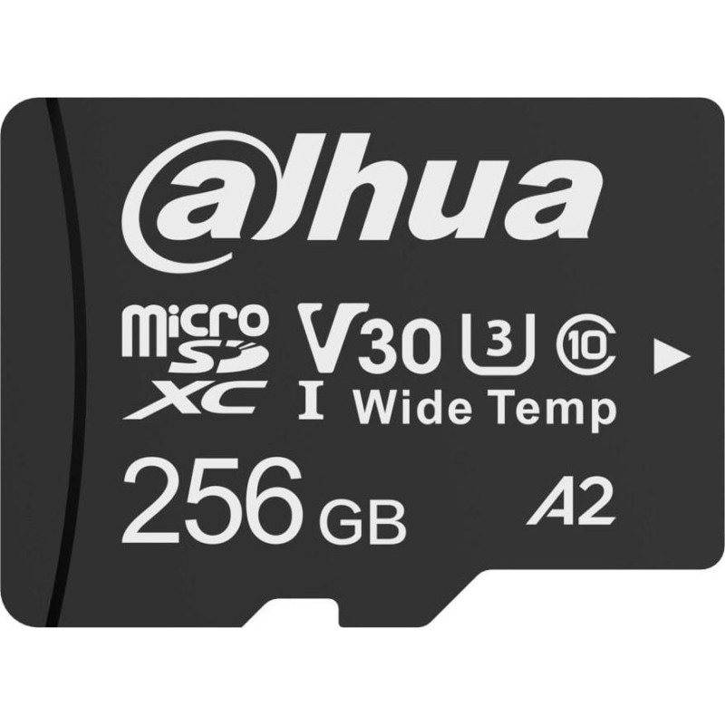 W100 Widerstandsfähige Speicherkarte 256GB